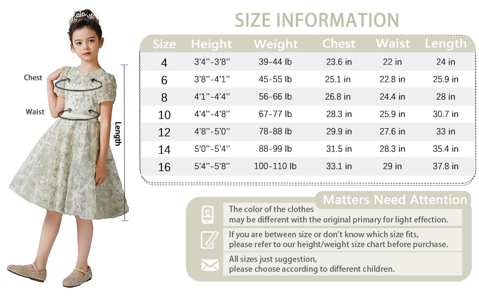 2025 Spring 3D Flowers Embroidery Lace Appliqued Puff Tulle Short Wedding Guest Dress for Girls Puffy Sleeves Girls Birthday Party Dress