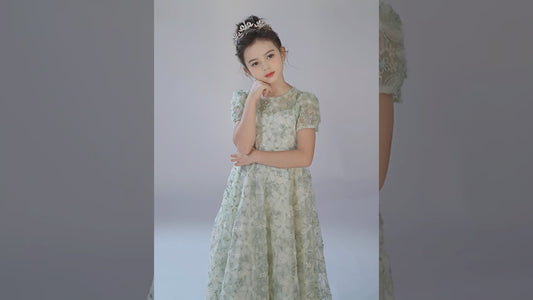 2025 Spring Flower Girl Dress Wedding Bridesmaid Lace Tulle Puffy Sleeves Girls Birthday Party Pageant Maxi Dress